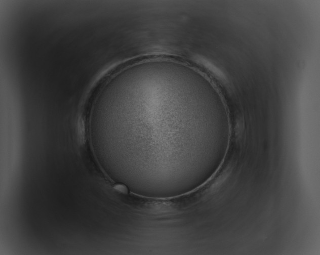 X0000100911310200806241305