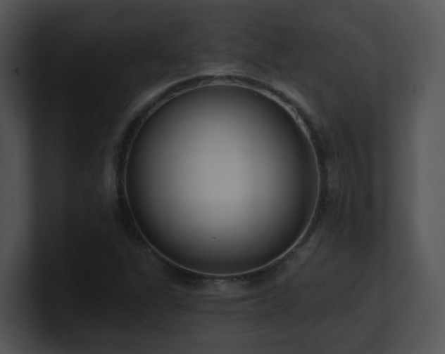 X0000100911311200806241305