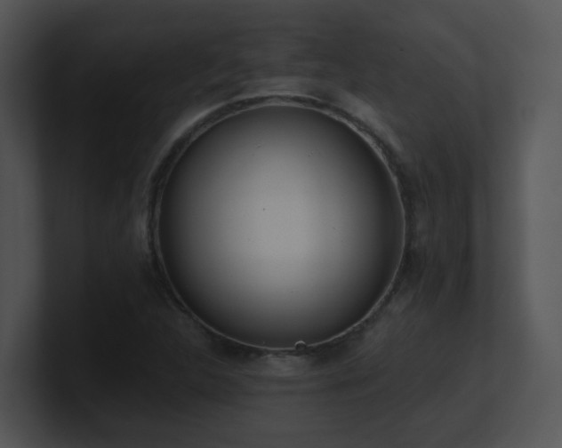X0000100911312200806241305
