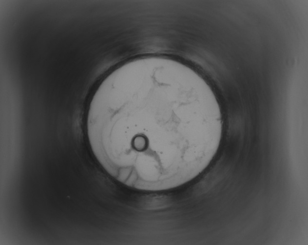 X0000100911314200806241305