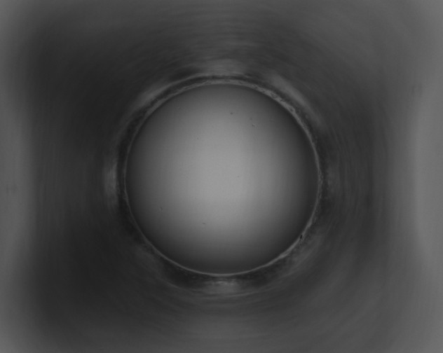 X0000100911315200806241305