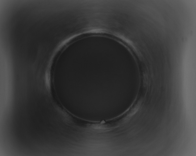 X0000100911319200806241305
