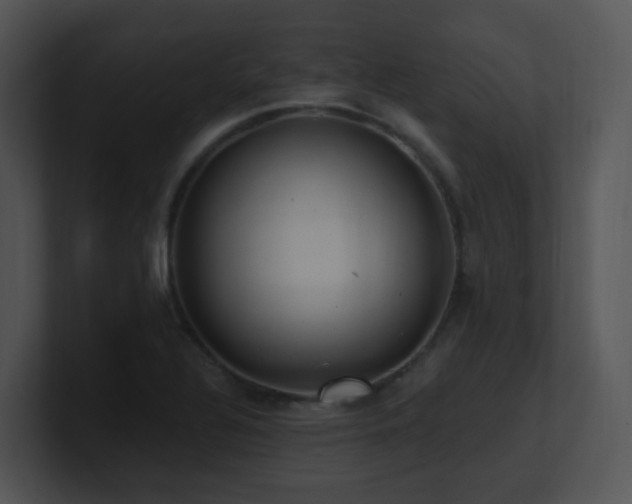 X0000100911320200806241305
