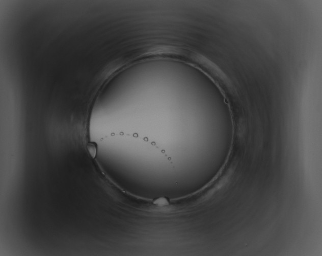 X0000100911321200806241305