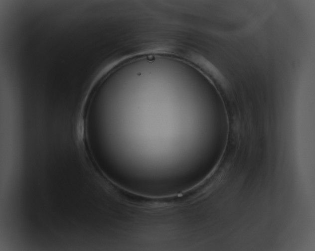 X0000100911324200806241305