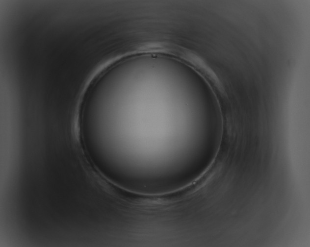 X0000100911328200806241305