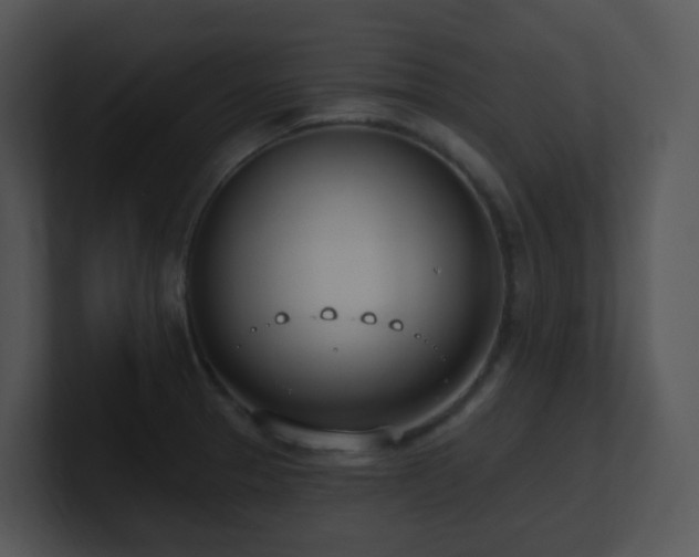 X0000100911329200806241305