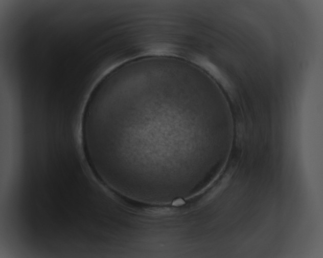 X0000100911331200806241305