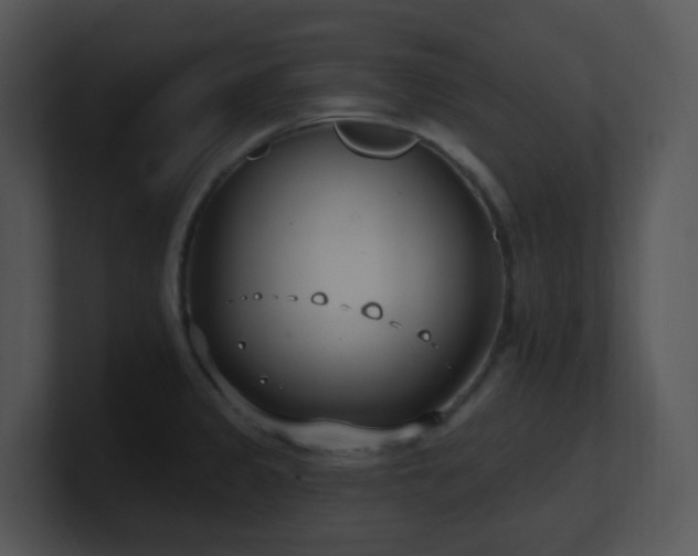 X0000100911333200806241305