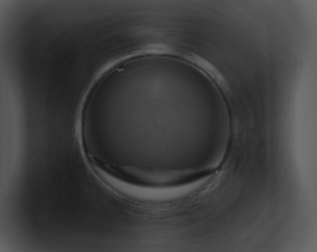 X0000100911334200806241305