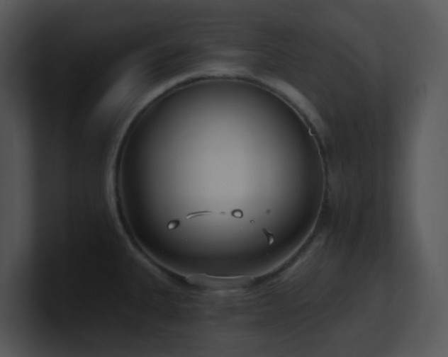 X0000100911335200806241305