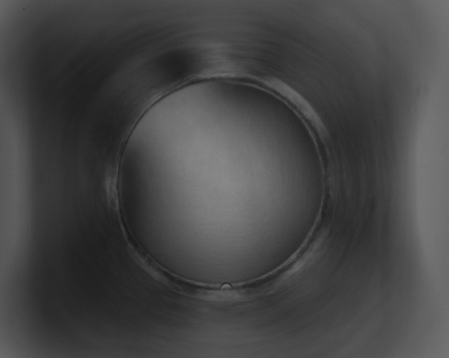 X0000100911337200806241305