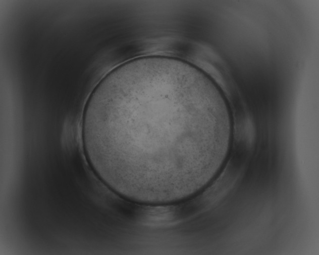 X0000100911338200806241305