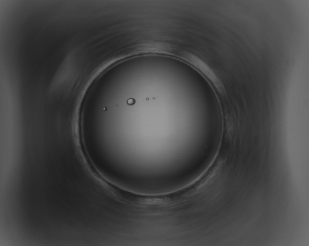 X0000100911339200806241305