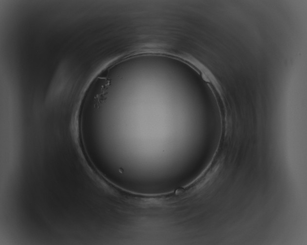 X0000100911341200806241305