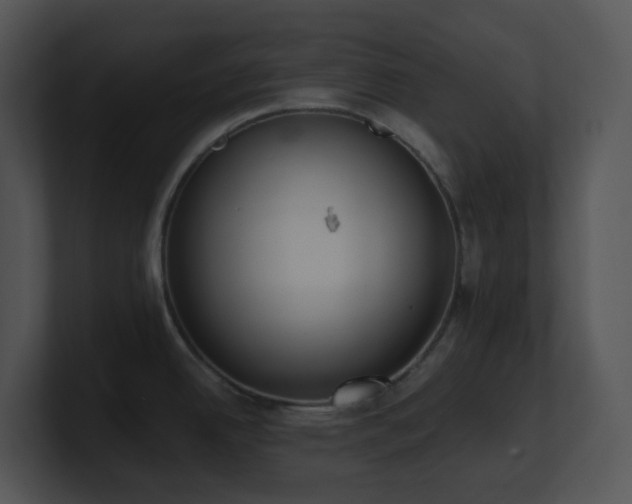 X0000100911342200806241305