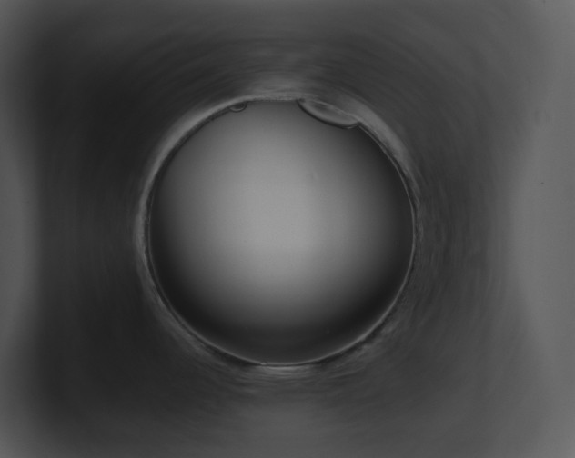 X0000100911344200806241305
