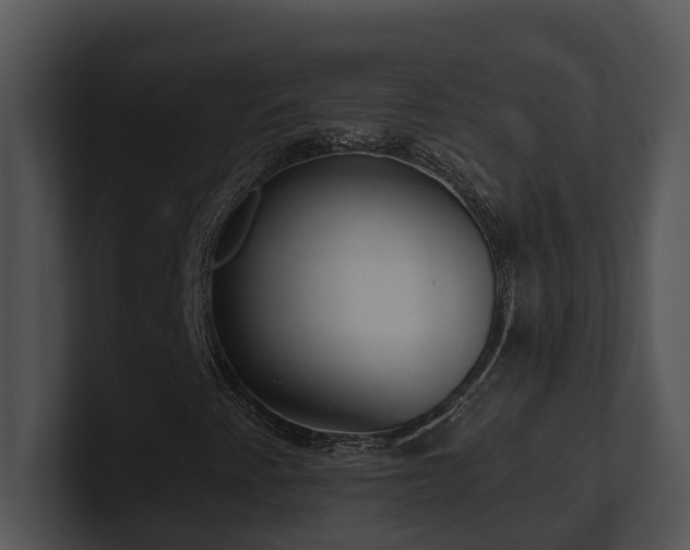 X0000100911345200806241304