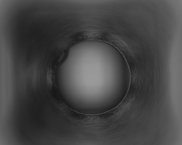X0000100911346200806241304