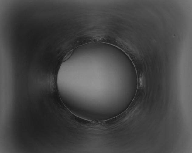 X0000100911347200806241304