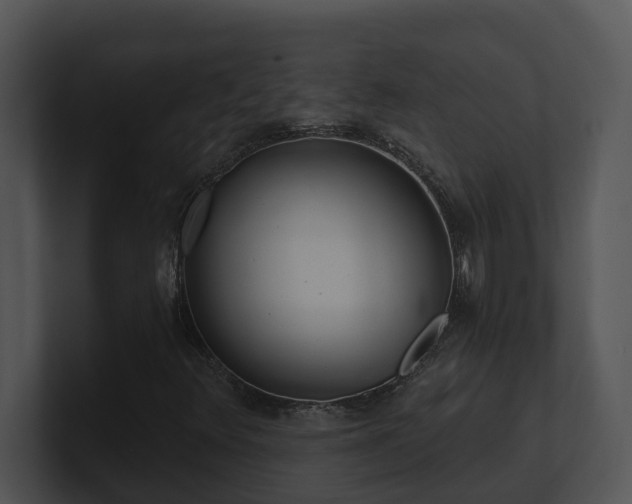 X0000100911348200806241304