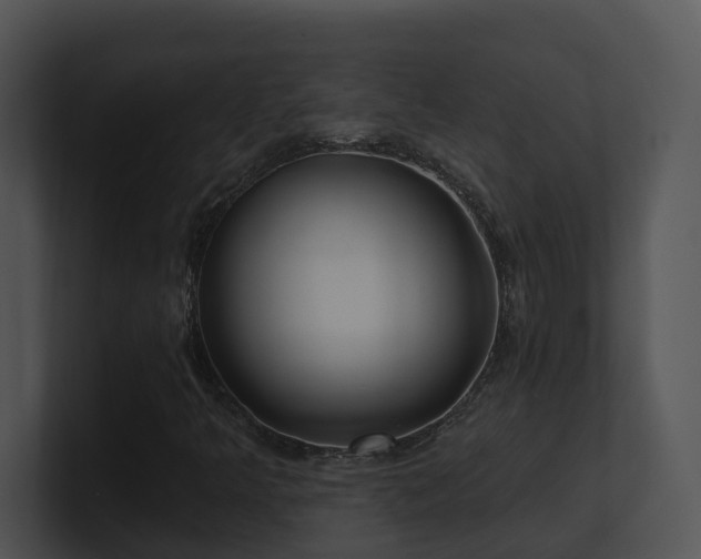X0000100911349200806241304