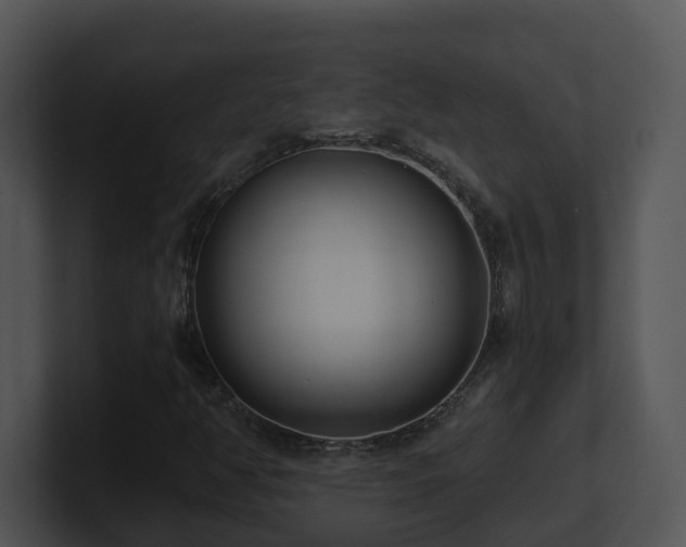 X0000100911350200806241304