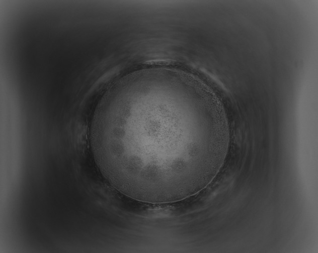 X0000100911351200806241304