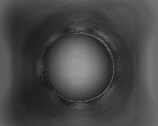 X0000100911354200806241304