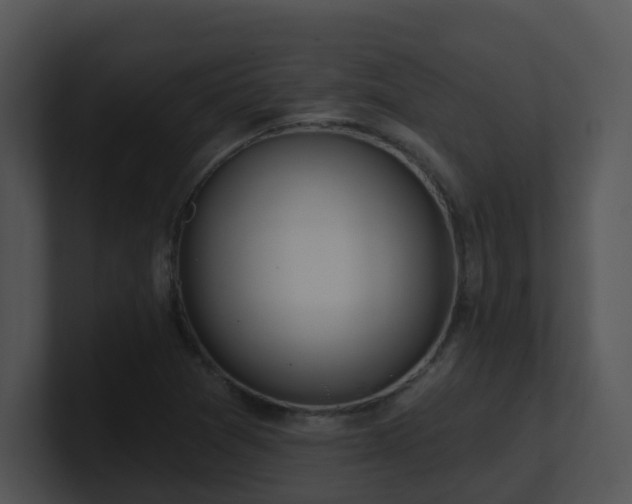 X0000100911361200806241304
