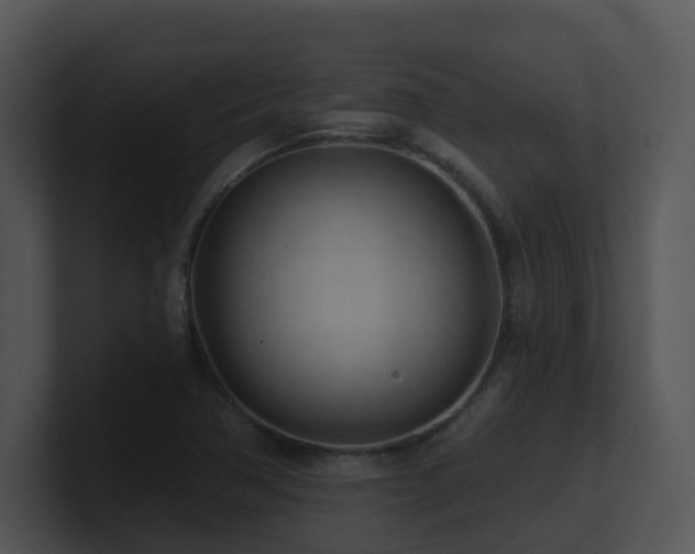 X0000100911362200806241304