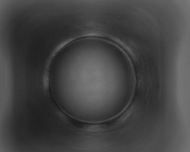 X0000100911367200806241304