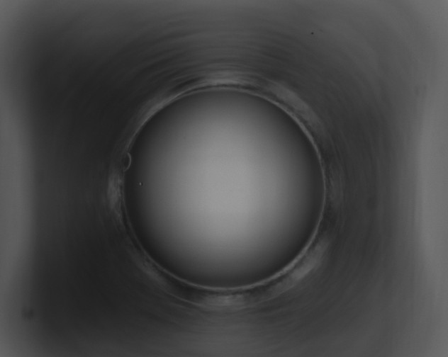 X0000100911369200806241304