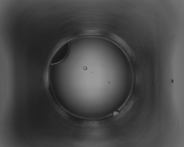 X0000100911370200806241304