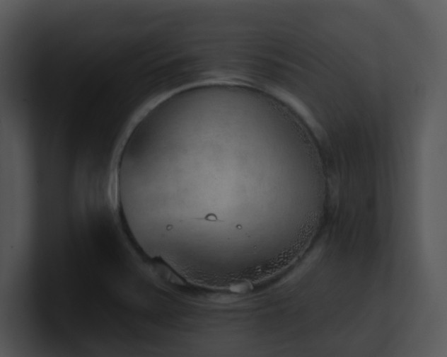 X0000100911371200806241304