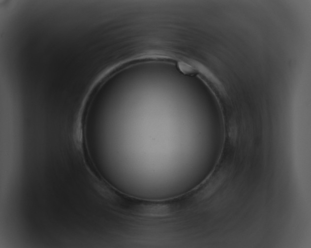 X0000100911372200806241304
