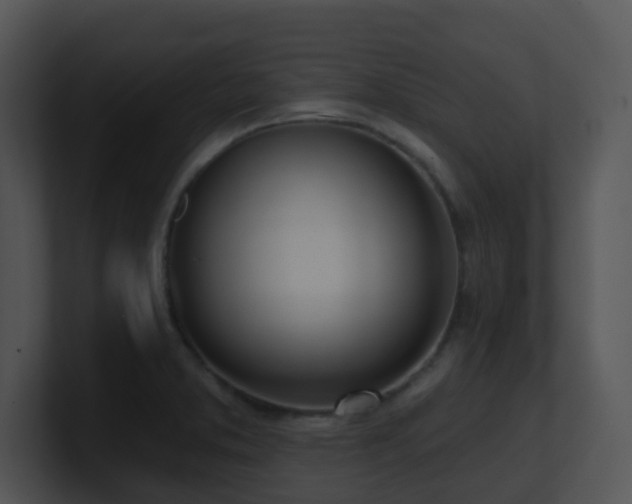 X0000100911373200806241304