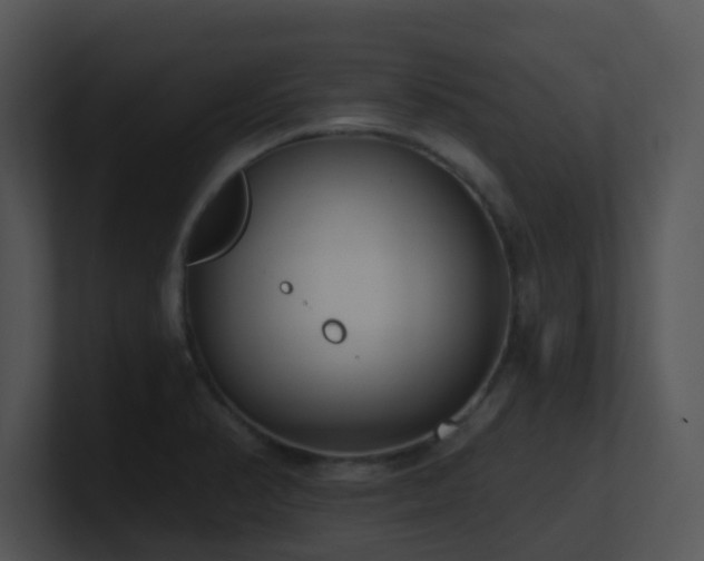 X0000100911374200806241304