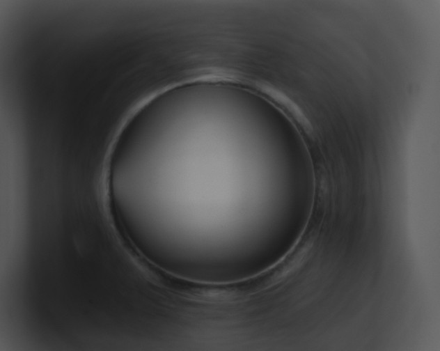 X0000100911375200806241304