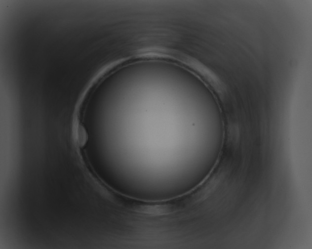 X0000100911376200806241304