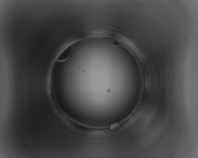 X0000100911378200806241304