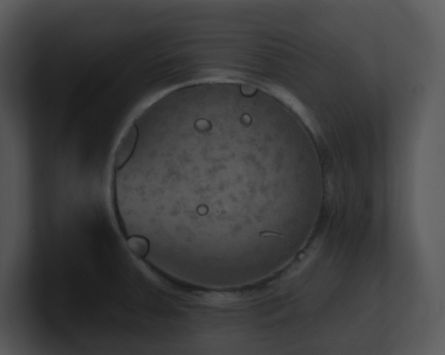 X0000100911379200806241304
