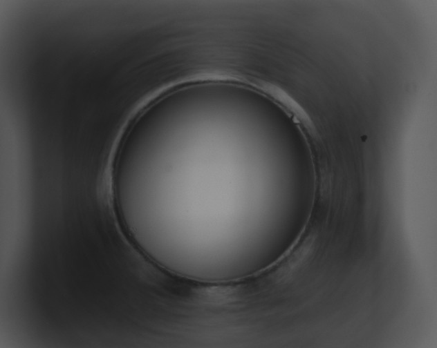 X0000100911380200806241304