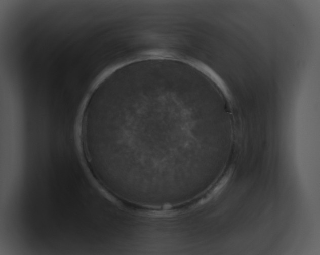 X0000100911381200806241304
