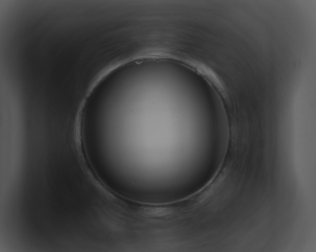 X0000100911382200806241304