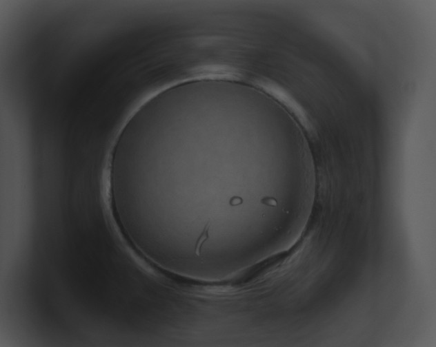 X0000100911383200806241304