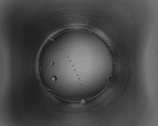 X0000100911384200806241304