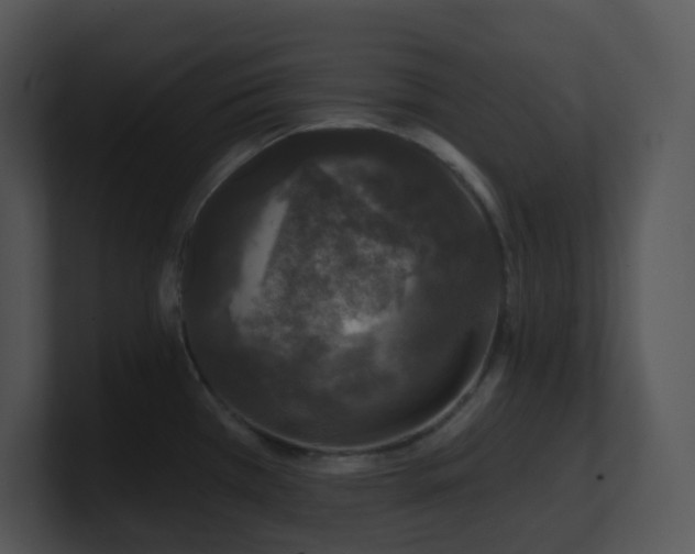 X0000100911385200806241304