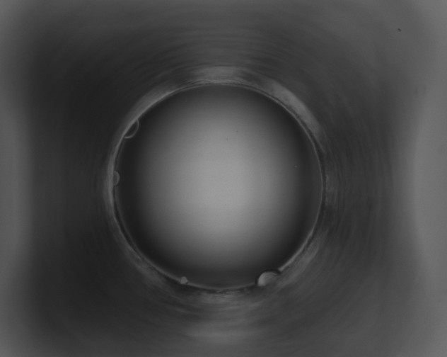 X0000100911386200806241304