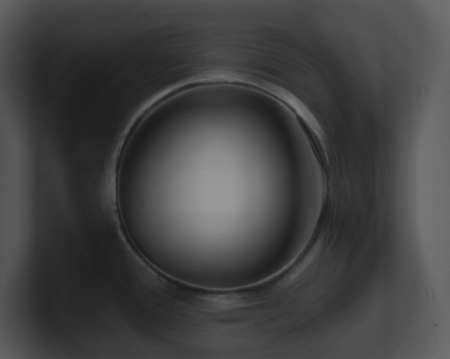 X0000100911388200806241304